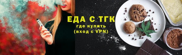 хмурый Аркадак