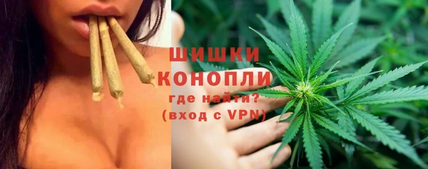 хмурый Аркадак