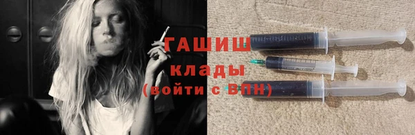 хмурый Аркадак