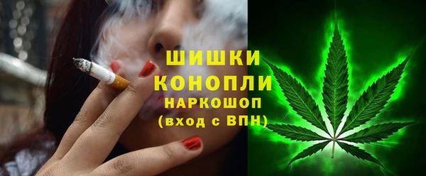 хмурый Аркадак