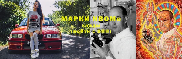 хмурый Аркадак