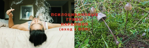 ешки Арсеньев