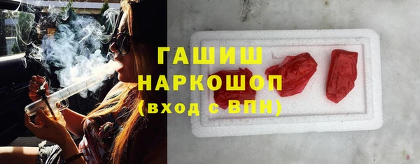 хмурый Аркадак