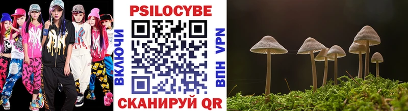 как найти закладки  Ликино-Дулёво  Псилоцибиновые грибы мицелий 